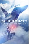Ace Combat 7 .jpg