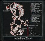 forbidden_woods_map.jpg