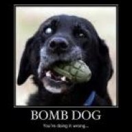 bombDOG