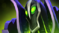 rubick_sb.png