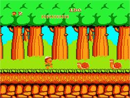 Thumb_Adventure_Island_-_1988_-_Hudson_Soft.jpg