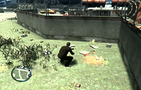 gta4_pigeons_alderneyA_04.jpg