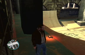 gta4_pigeons_algonquin_57.jpg