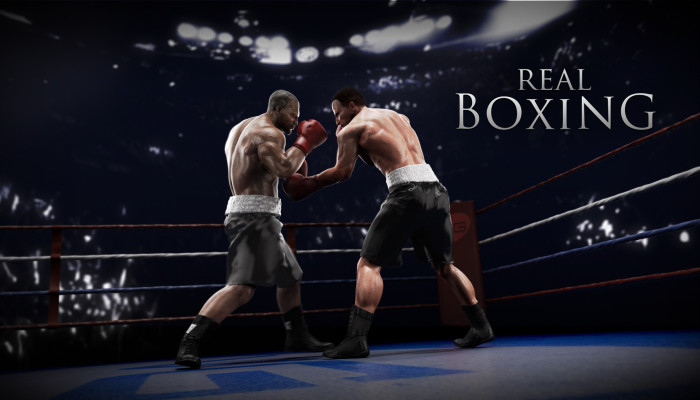 real_boxing-15.jpg