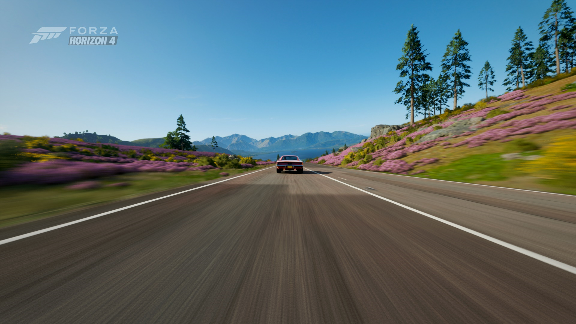 lywi_forza_horizon_4_10_15_2018_1_46_27_am.png