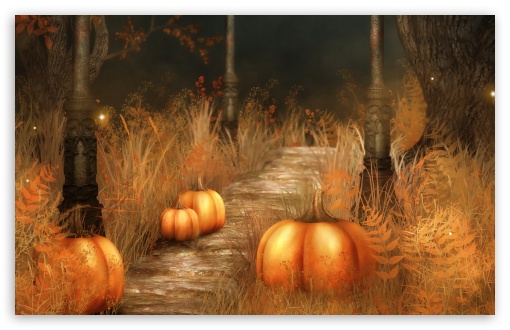 pumpkins__halloween-t2.jpg