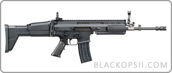 scar-l-1.jpg