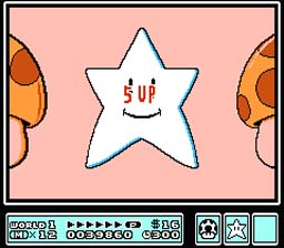 Super_Mario_Bros._3_NES_ScreenShot4.jpg