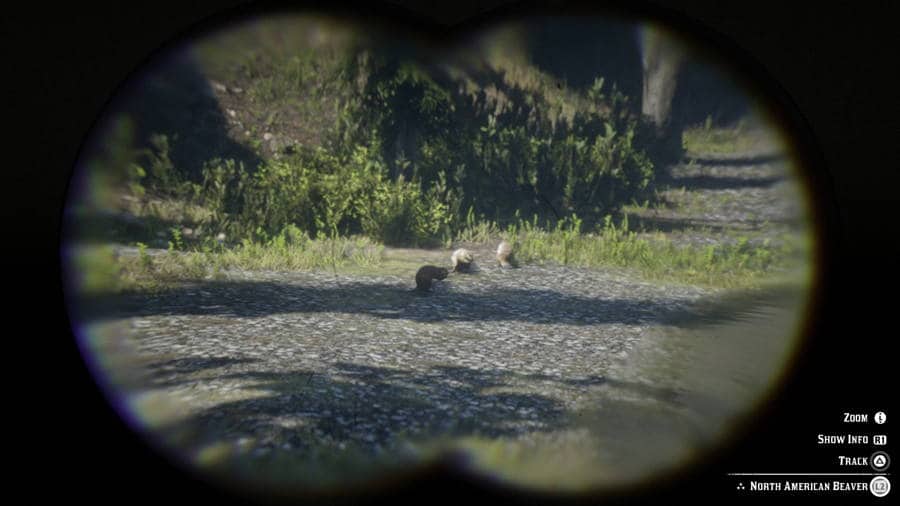 Beaver-Red-Dead-Redemption-2.jpg