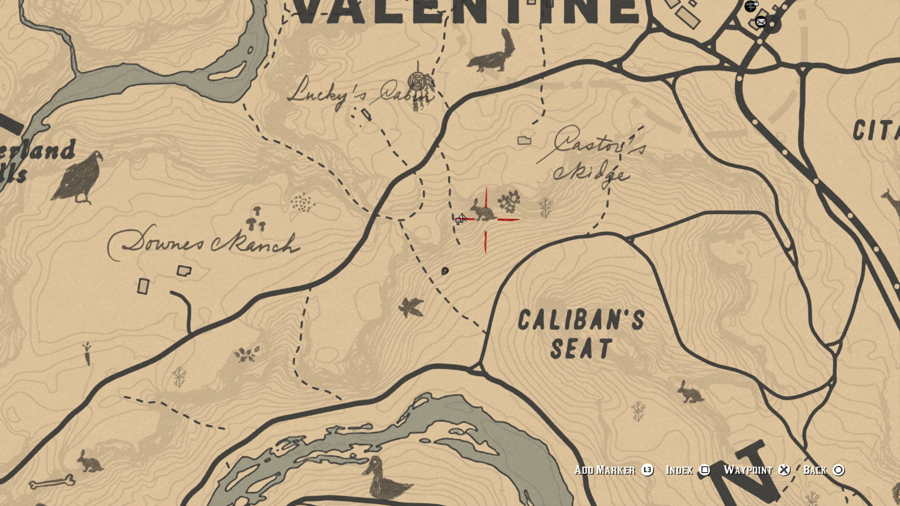 Red-Dead-2-Rabbit-Locations.jpg