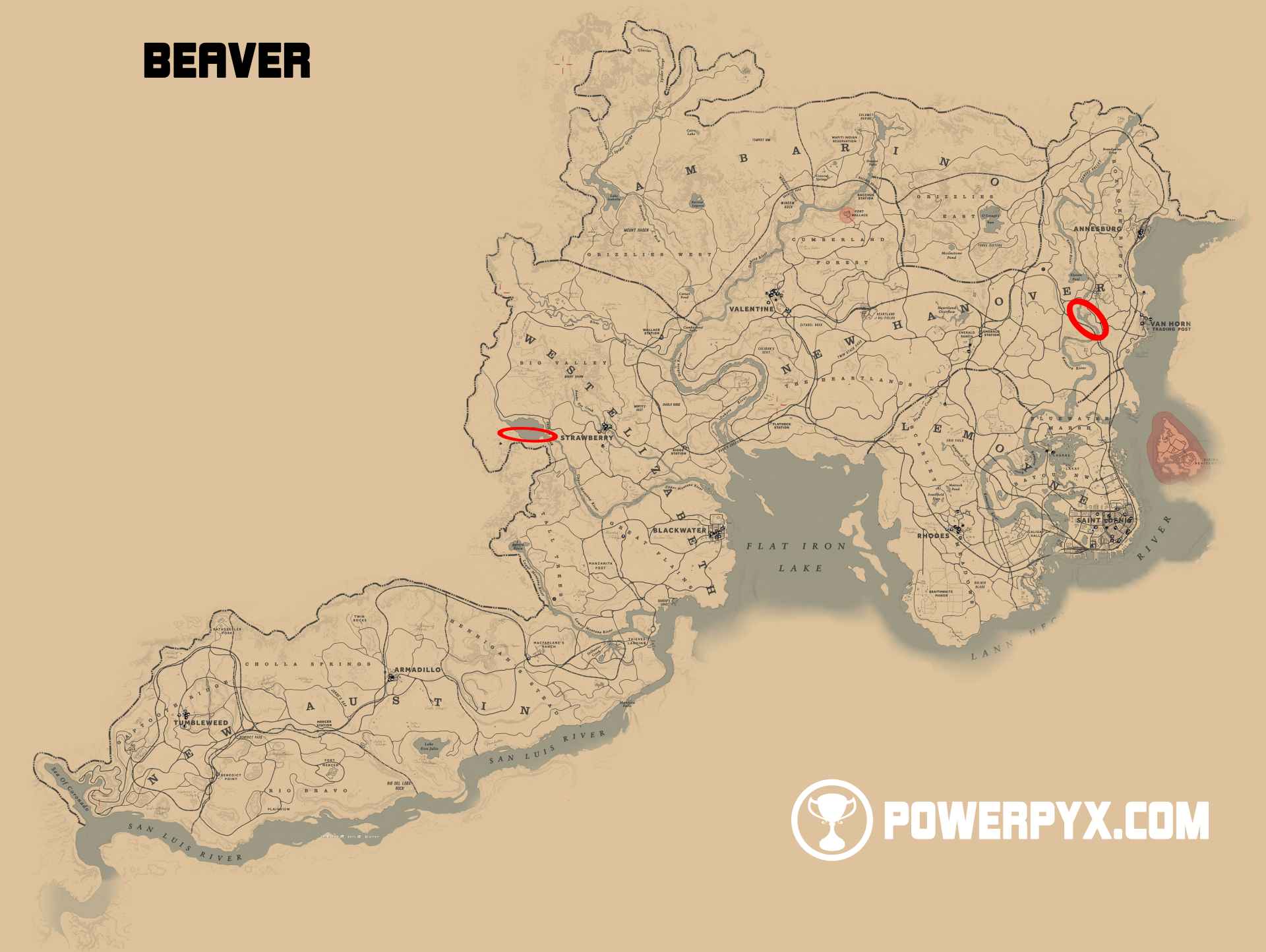 red-dead-redemption-2-beaver-location.jpg