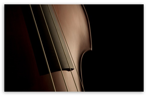 double_bass_strings-t2.jpg