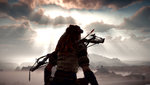 image_horizon_zero_dawn-34585-3283_0008.jpg