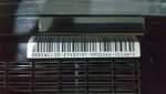 20200515_220800.jpg