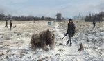 iron_harvest_art02.jpg