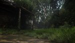 The Last of Us™ Part II_20200623012654.jpg