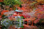autumn-daigo-ji.jpg
