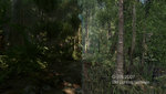 Crysis-Remastered---Tech-Trailer-Preview.mkv_20200821_185214.jpg