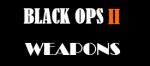 BO2 - WEAPONS.png