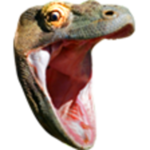 komodohype.png