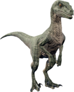 Raptorthumb.png