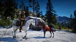 Red Dead Redemption 2_20220114090014.jpg