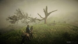 rdr2_Image166.jpg