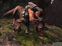 turok-2008_74166.jpg