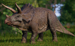 JP_Triceratops_1.png