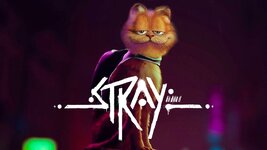 stray-garfield-header.jpg