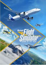 Microsoft Flight Simulator.JPG