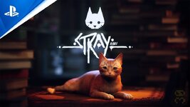 Stray-ps4.jpg