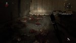 Dying Light_20151203230726.jpg