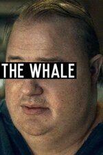 thewhale.jpg