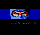 Ninja Gaiden-1.png