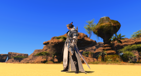 ffxiv_dx11 2023-05-16 21-38-07.png