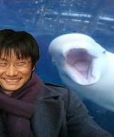 Kojima Whale.jpg