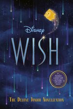 1691224313_youloveit_com_disney_wish_movie_book.jpg