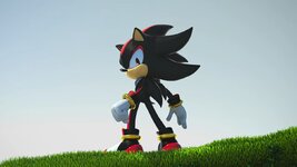 shadow.jpg