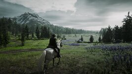 RDR2_2024_02_05_01_37_17_291.jpg