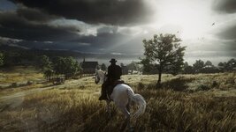 RDR2_2024_02_05_02_20_40_737.jpg