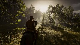 RDR2_2024_02_05_01_04_59_937.jpg