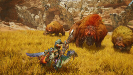 Monster-Hunter-Wilds_2024_05-30-24_005.jpg