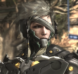RaidenPortrait2018.png