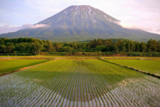 Kutchan-Rice-Filed-Mt-Yotei-Reflection-in-Water-Spring-Credit-Pimsiri-K.jpg.png