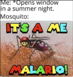 its a me malario.png