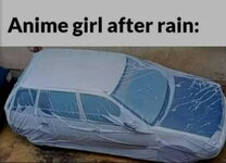 anime girl after rain.jpg