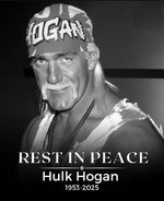 hulk-hogan-has-passed-away-at-the-age-of-71-v0-vzibuaw9huef1.jpg
