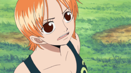 screenshot_One Piece - 208.[720][AioFilm.com]_1746794576634.png