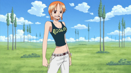screenshot_One Piece - 208.[720][AioFilm.com]_1746794717718.png